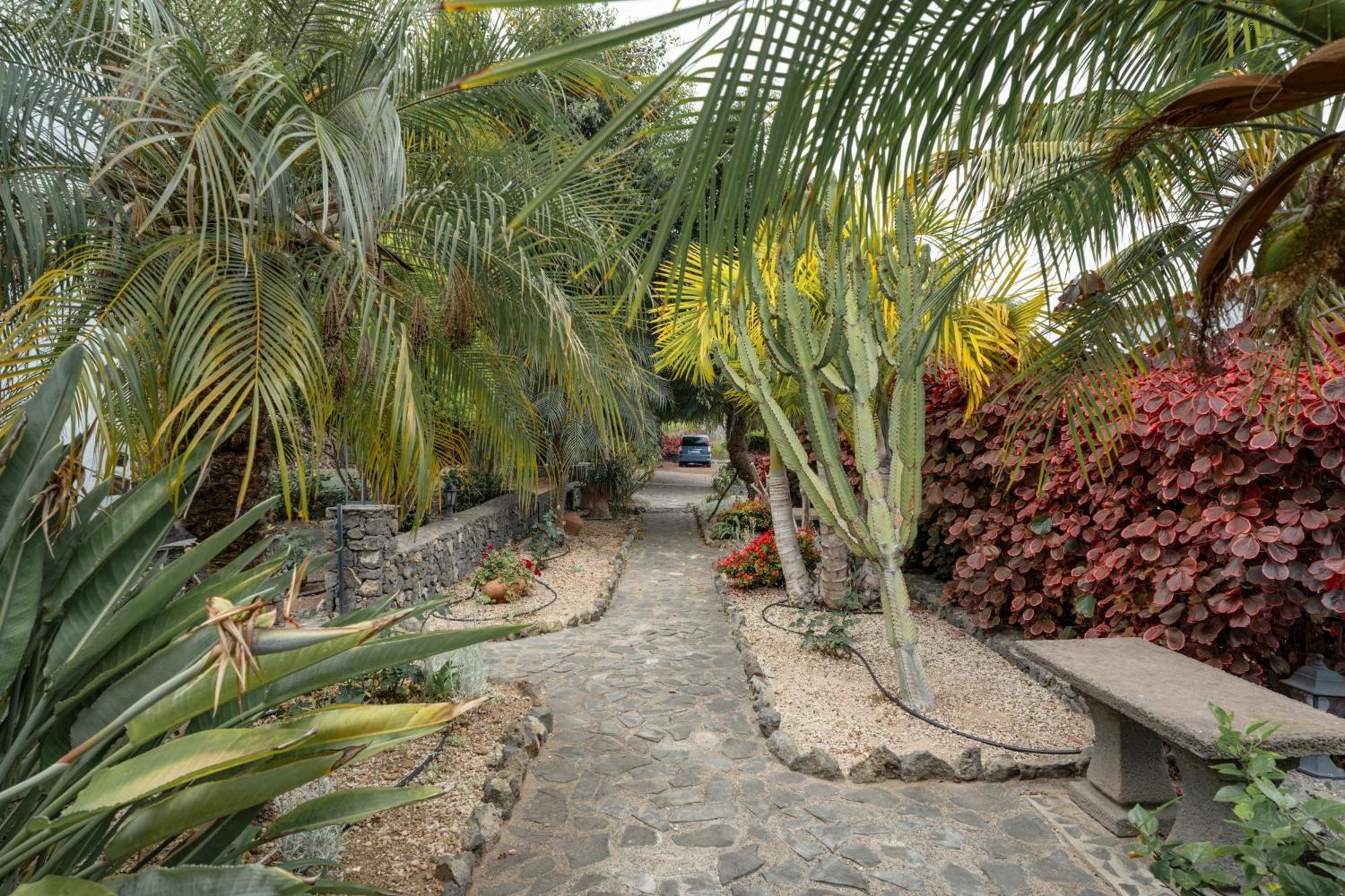 Casa Candelaria La Guancha Exterior photo